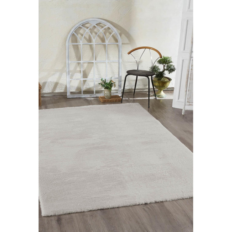 Stylish Ash Area Rug, 5.2 x 7.2 Feet | 100% Polyester, Durable & Soft | Non-Machine Washable, Vacuum Cleaner Friendly | Perfect for Living Room, Bedroom & Office | Modern Home Décor, Easy to Maintain