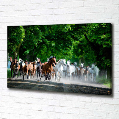 Horses In A Gallop - Wrapped Canvas Print