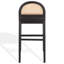 Laylie Rattan And Leather Counter Stool-1887483489