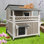 Maison pour chat 2 étages avec toit en asphalte ouvert à deux niveaux, maisonnette en bois de sapin avec balcon et porte de secours