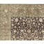 Oriental Area Rug