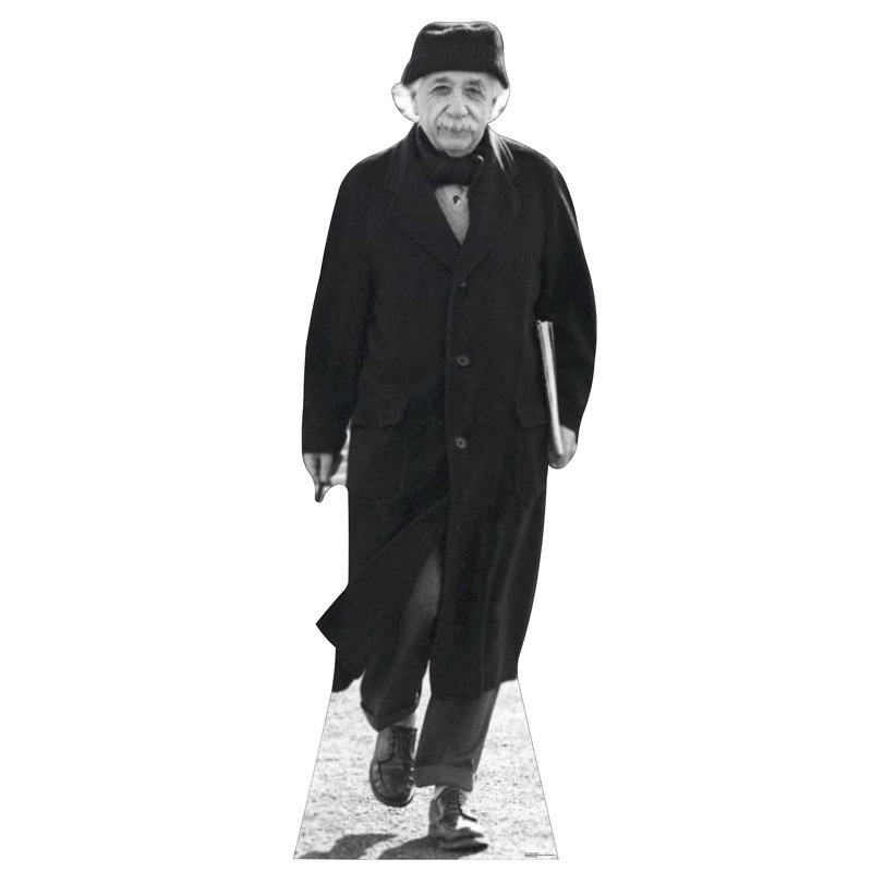 Accroche en carton albert einstein