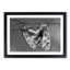 Two Butterflies - Framed Print-55615100-55615101