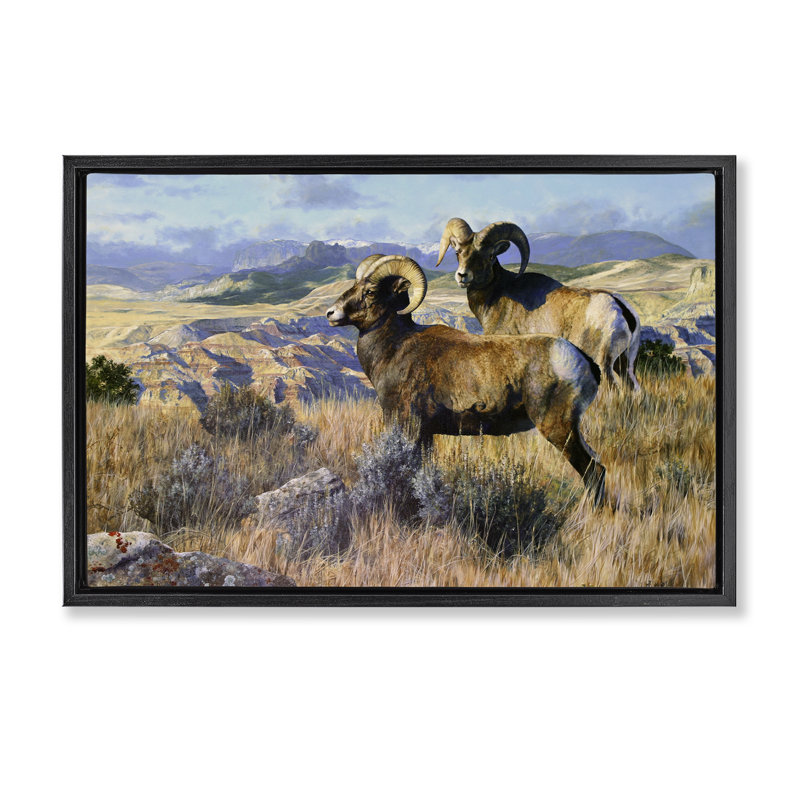  Toile flottante encadrée «Wild Rams Torrey Canyon» par Mark Kelso, Cadre flottant noir de jais, H 17 po x l 25 po