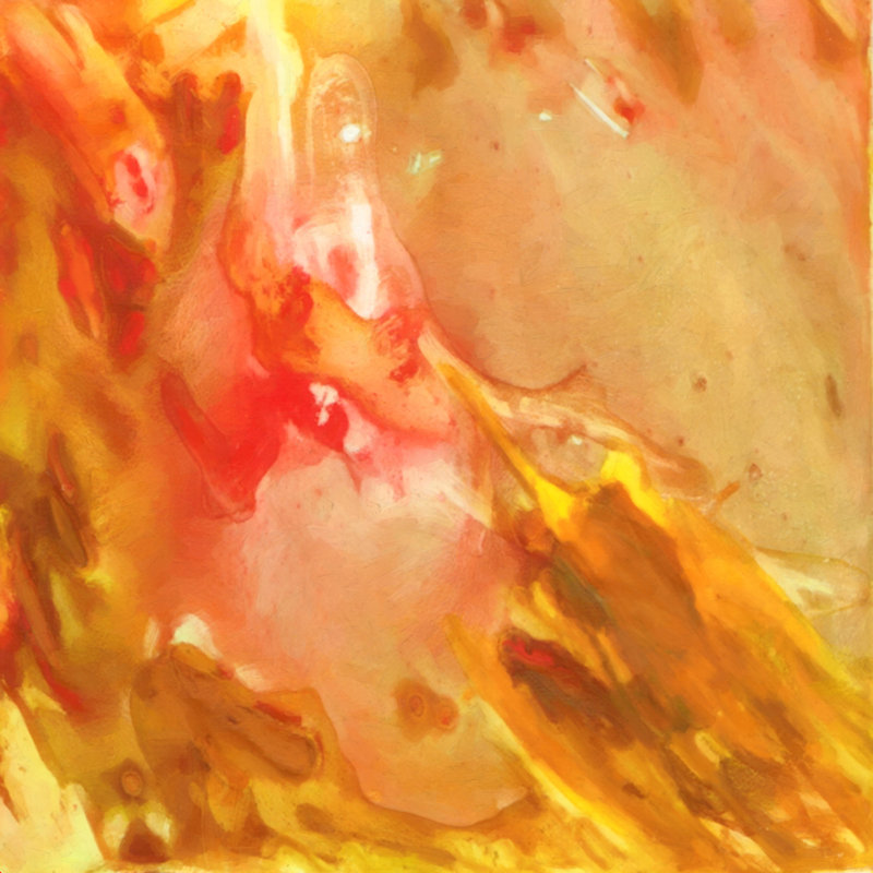 " On Fire " by Rosie Brown, 12" H x 12" W  , No, Wrapped Canvas