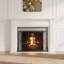 2 Double Door Iron Fireplace Door