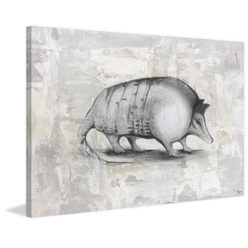 « armadillo ii », reproduction d’art sur toile tendue, H 24 po x l 36 po x P 1,5 po
