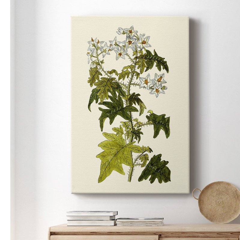 Olive Greenery VI - peinture sur toile tendue, H 18 po x l 12 po x P 1,5 po