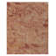 Homage Wool Abstract Area Rug in Red/Gold
