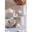 Price & Kensington Daisy Milk Jug & Sugar Bowl Set