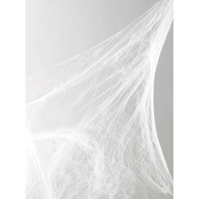 Décoration d’halloween web d’araignée