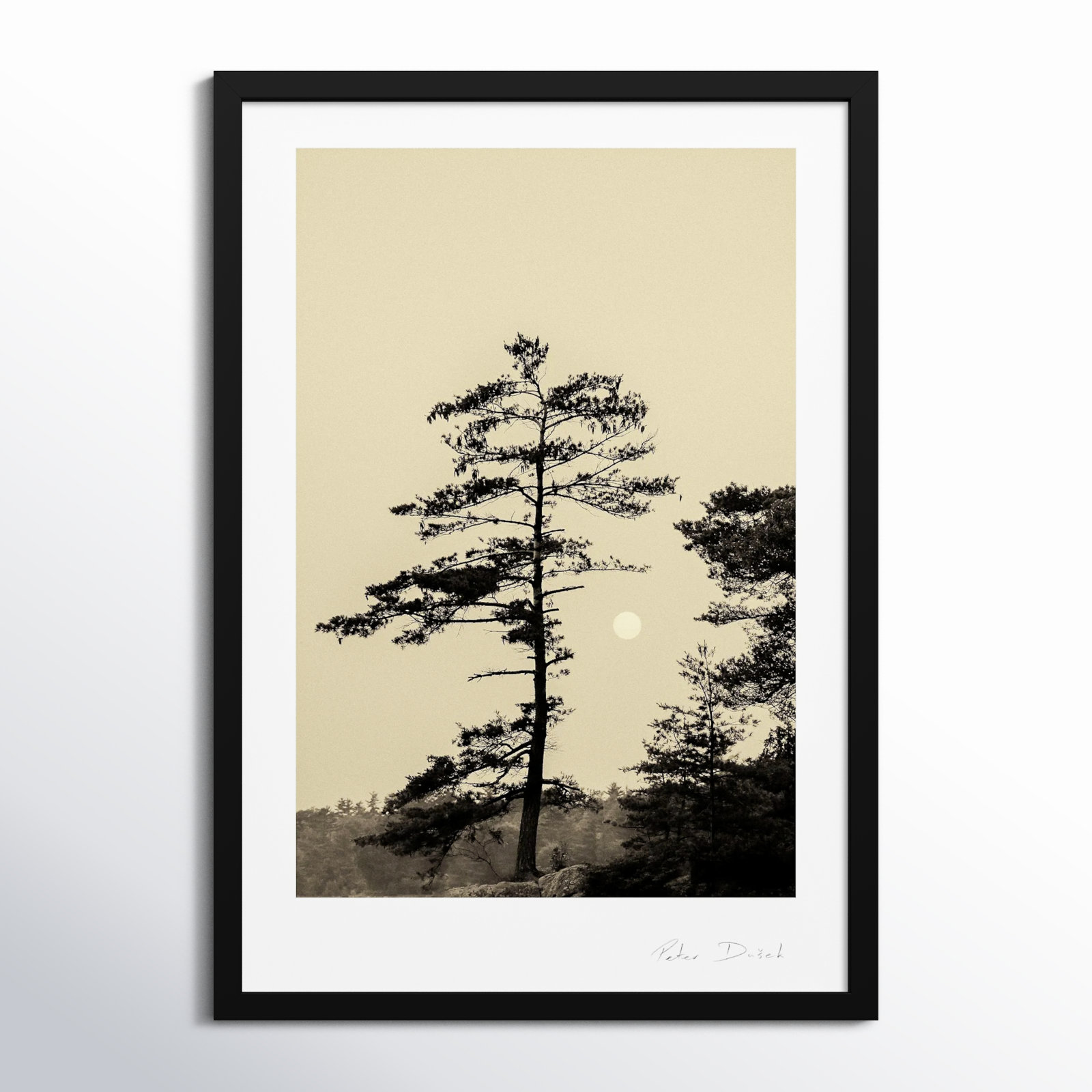 Serenity by Peter Dušek, Black, 50" H x 35" W x 1.25" D