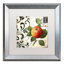 Jadaya «Les Fruits Jardin IV», impression encadrée-20128724-20128725-70728435
