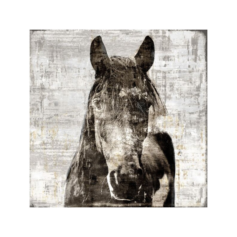Winter Stallion Print by Sofia Fox, Plexi, 24" H x 24" W