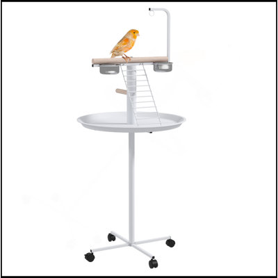 Bird Stand, Parrot Stand With Wheels, Perches, Stainless Steel Feed Bowls, Round Tray, Bird Play Stand For Indoor Outdoor, White