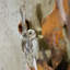 No Frame Painting on Metal