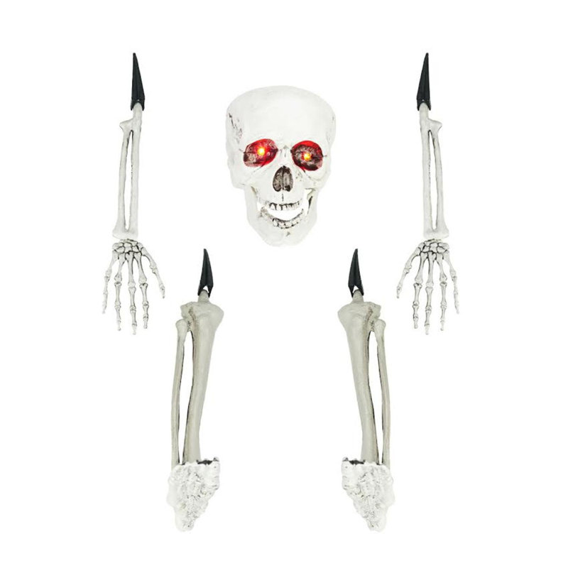 Ensemble de décoration squelette 5 pièces 5,5 "19,5"
