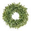 Pittosporum Spray Wreath