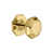 Polished Brass