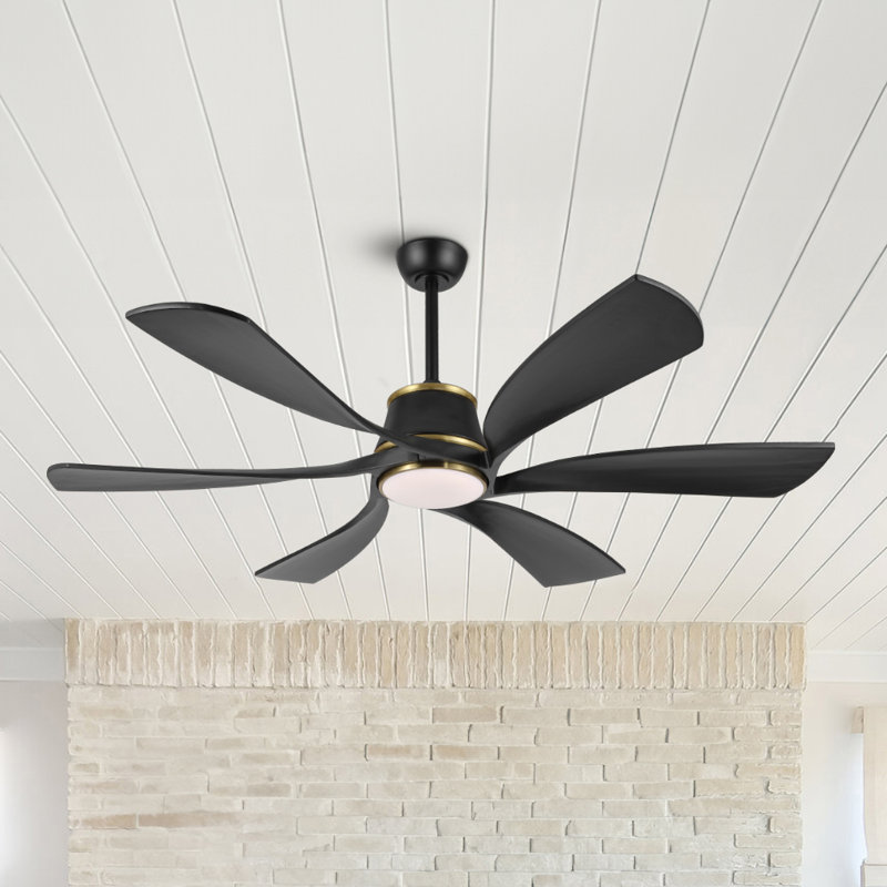 Hydle 60'' Ceiling Fan with LED Lights, Black/Gold with Black Blades