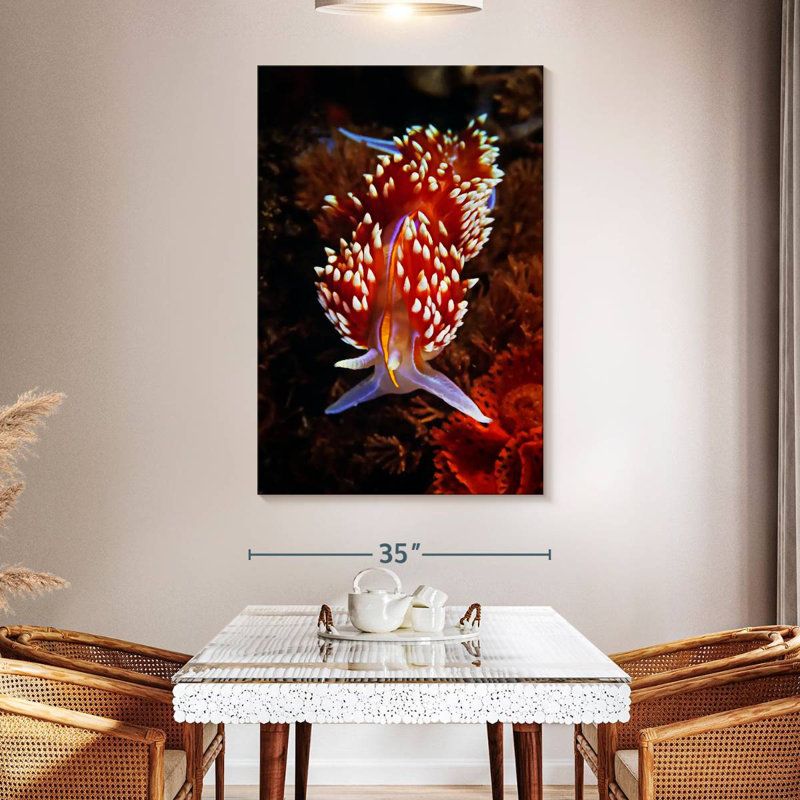 Brampt Exotic Nudibranch, 51" H x 34" W