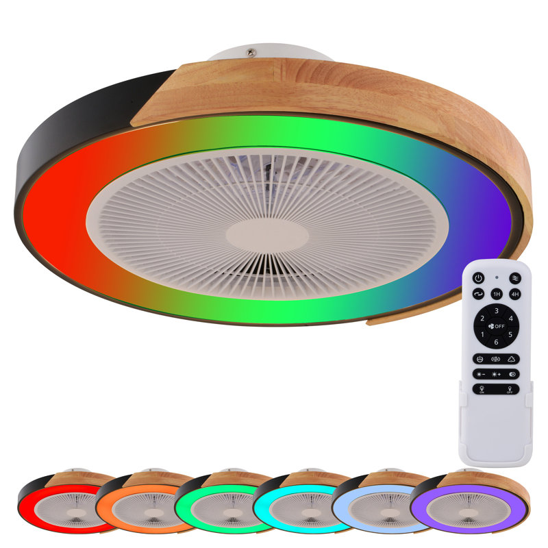 Ventilateur de plafond encastré intérieur mat noir de 20 po avec pales transparentes Apodaca