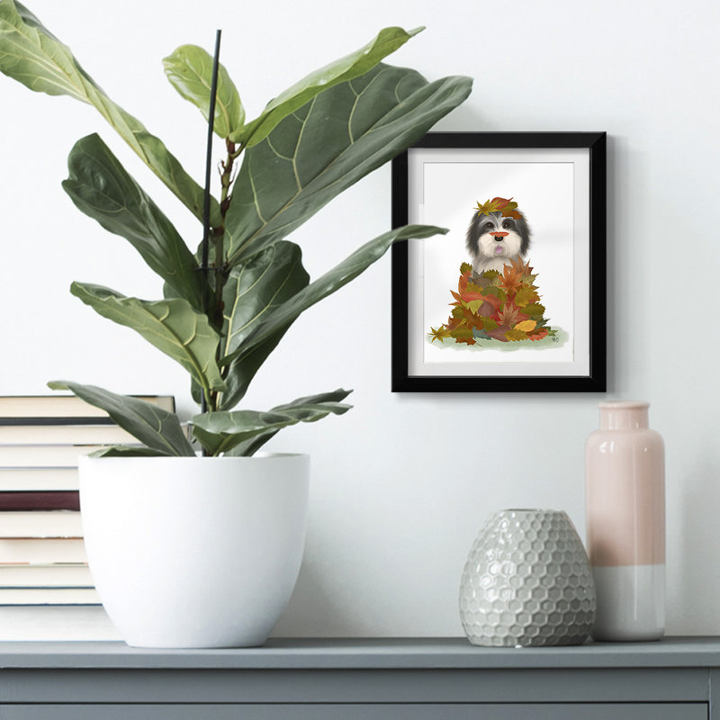 Kietan -Gallery Wrapped Canvas