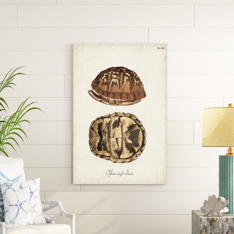 Tortues et coquillages antiques III, H 48 po x l 32 po x P 1,25 po