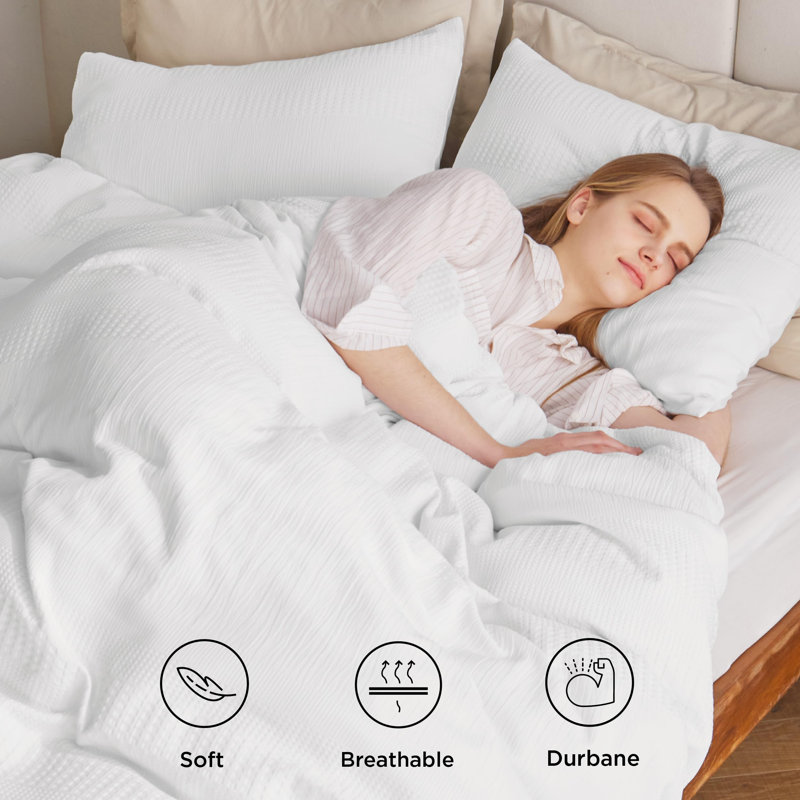 Bedsure Jersey Knit Polyester Fitted Sheet Case Pack, Queen Sheet Set