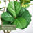 7FT Artificial Fiddle Leaf Fig Tree, Tall Lifelike Faux Plant in Black Pot for Home Office Decor