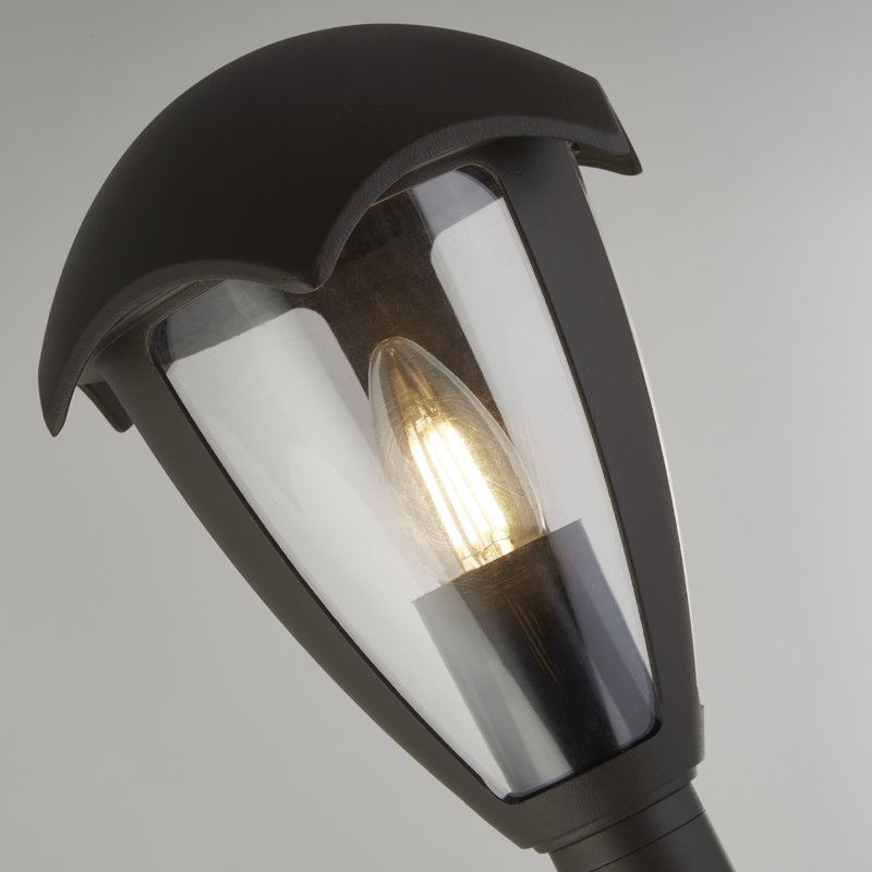 Grizzly Transparent Lamp Post (Full)