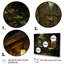Bathroom Rustic Woodland Retreat III - Print-2004544194-2004544221