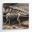 «Dinosaur Archeopteryx», art mural sur toile grise-1977157693