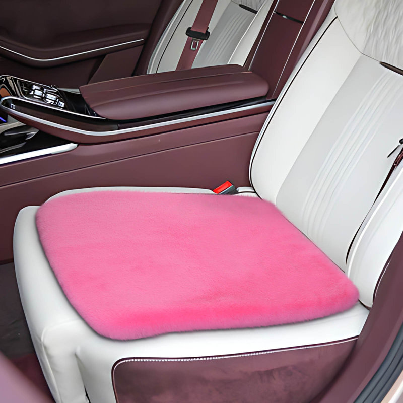 Comfortable And Warm Car Plush And Cold  Cushions With Details To Warm Your Driving Experience Enjoy The Warmth And Of Driving InWint