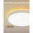  15-Inch RGBICWW Smart Ceiling Light Pro