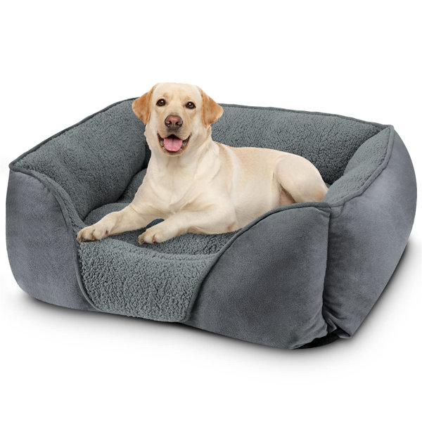 https://assets.wfcdn.com/im/96976564/resize-h600-w600%5Ecompr-r85/2541/254176376/Large+Dog+Beds+For+Large+Dogs%2C+Washable+Dog+Bed+Orthopedic+Rectangle+Puppy+Pet+Bed%2C+Durable+Calming+Dog+Sofa+Bed+Soft+Sleeping+With+Anti-Slip+Bottom+L+%2830%22X24%22X9%22%29.jpg