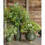 Calinda Handmade Ceramic Table Vase