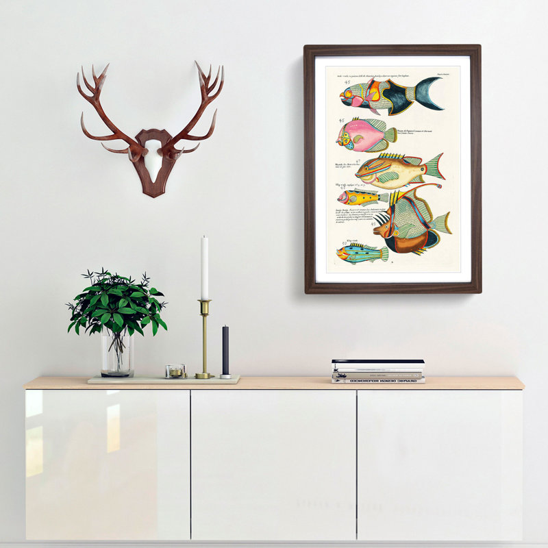 East Indies Fish Illustrations Dixieme K by Louis Renard - Picture Frame Painting Print, Walnut Framed