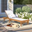 Scheiner 24'' Outdoor Acacia Chaise Lounge-451098119