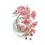 Orchid and Vine Arrangement in Glass Vase-44807558
