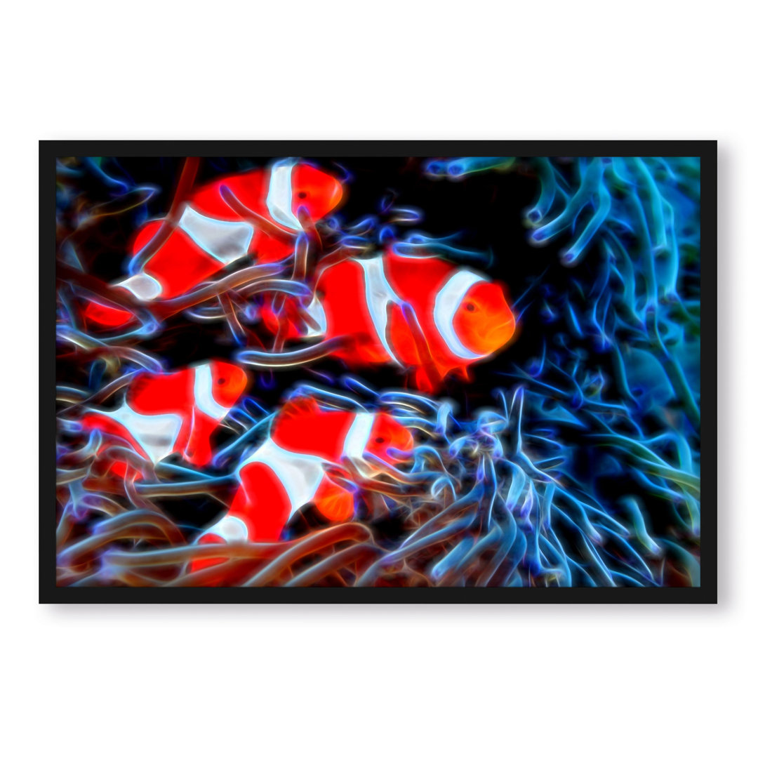 Clown Fische In Anemone - Poster Im Rahmen