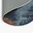 Watercolor Gray Indoor and Outdoor Area Rug-666364746