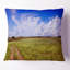 Road in Field with Green Grass - Landscape Printed Pillow-1262724905-1262724909