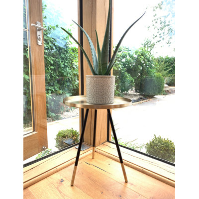 Roger Tray Top End Table