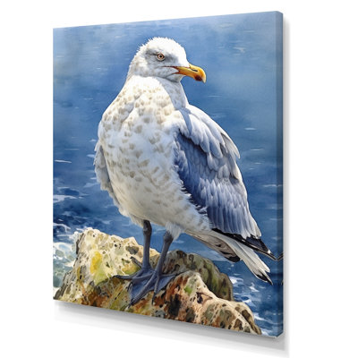 Seagull By The Sea IV - Animals Wall Art Prints
