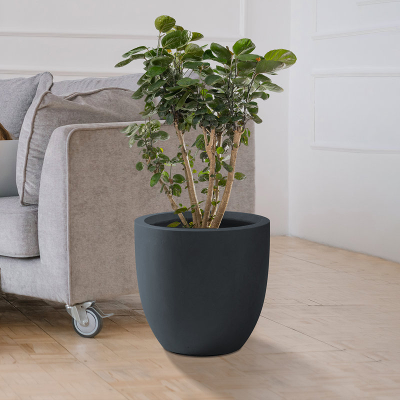 Pot de fleurs en béton, H 15 po x l 16,5 po x P 16,5 po, Gris anthracite