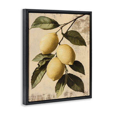 Lemon Harvest On Vine  Floater Canvas Wall Art, design by Franklyn Gregory
