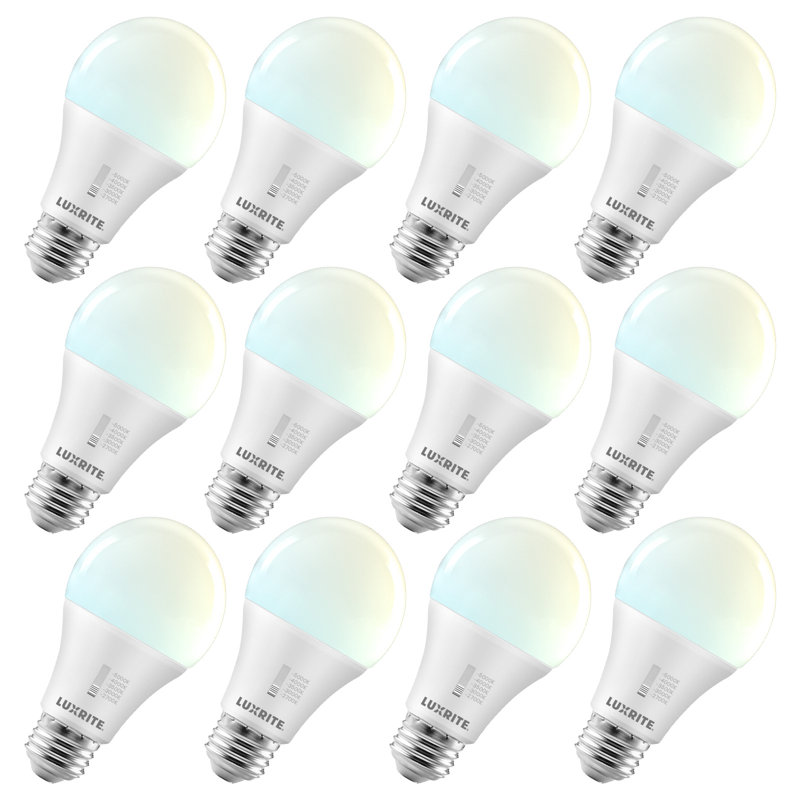 15 Watt E26/Medium (Standard) Dimmable Bulb