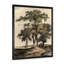 Images rétro de vieux arbres I - peinture sur toile-67228195-67228199-119749152
