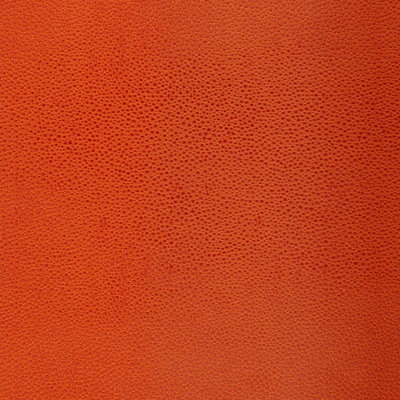 Papier peint Shagreen